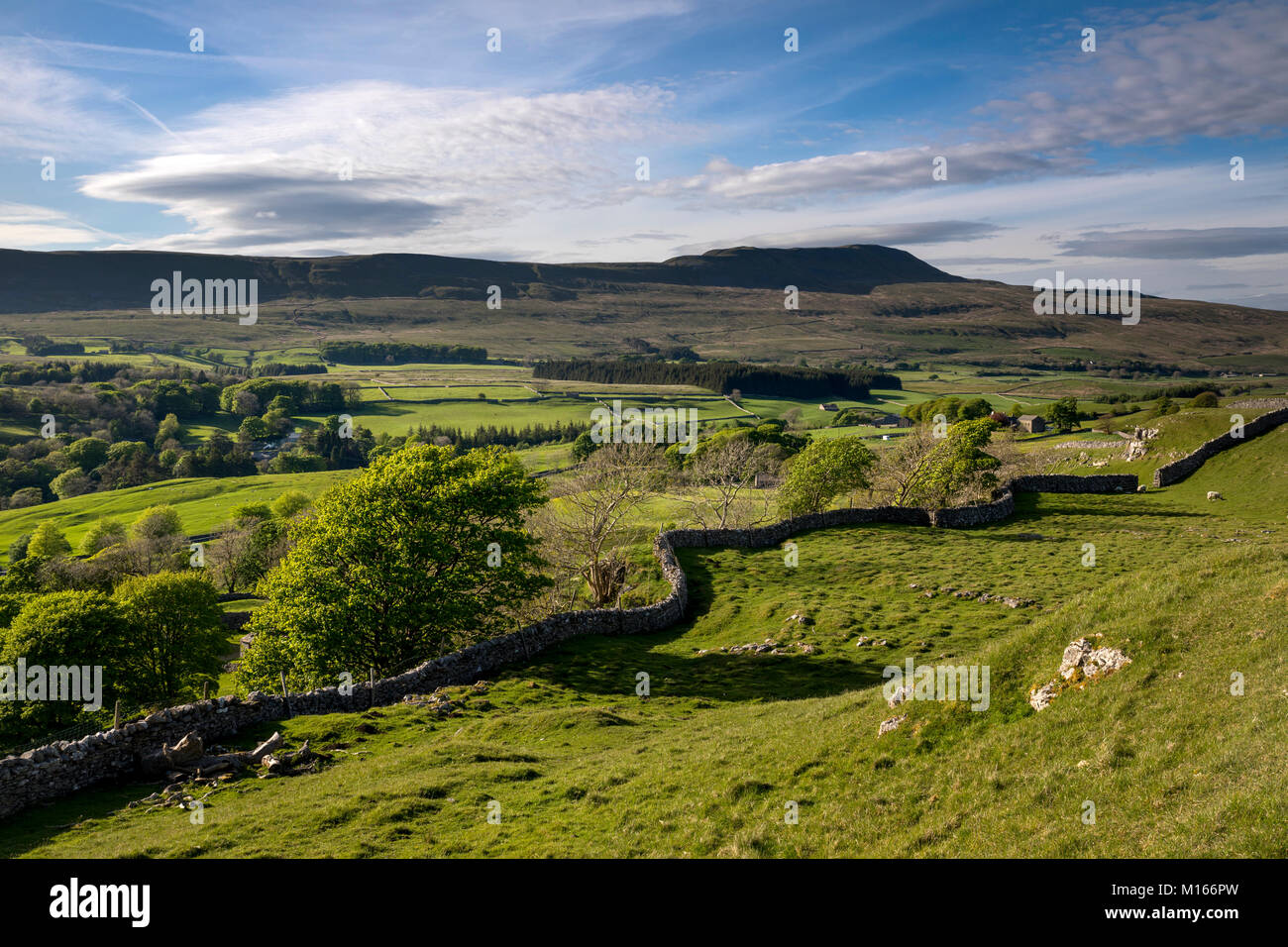 Souther Waagen; Blick auf Whernside; Yorkshire, UK Stockfoto