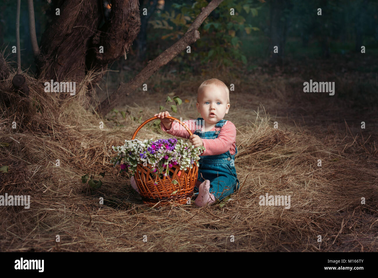 Kleines Mädchen im Wald sitzt und einen Korb mit Blumen. Stockfoto