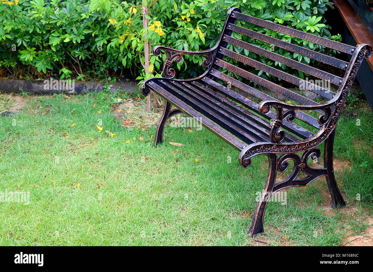 Vintage Style Schmiedeeisen Sitzbank mit Wassertropfen im grünen Garten nach dem Regen Stockfoto