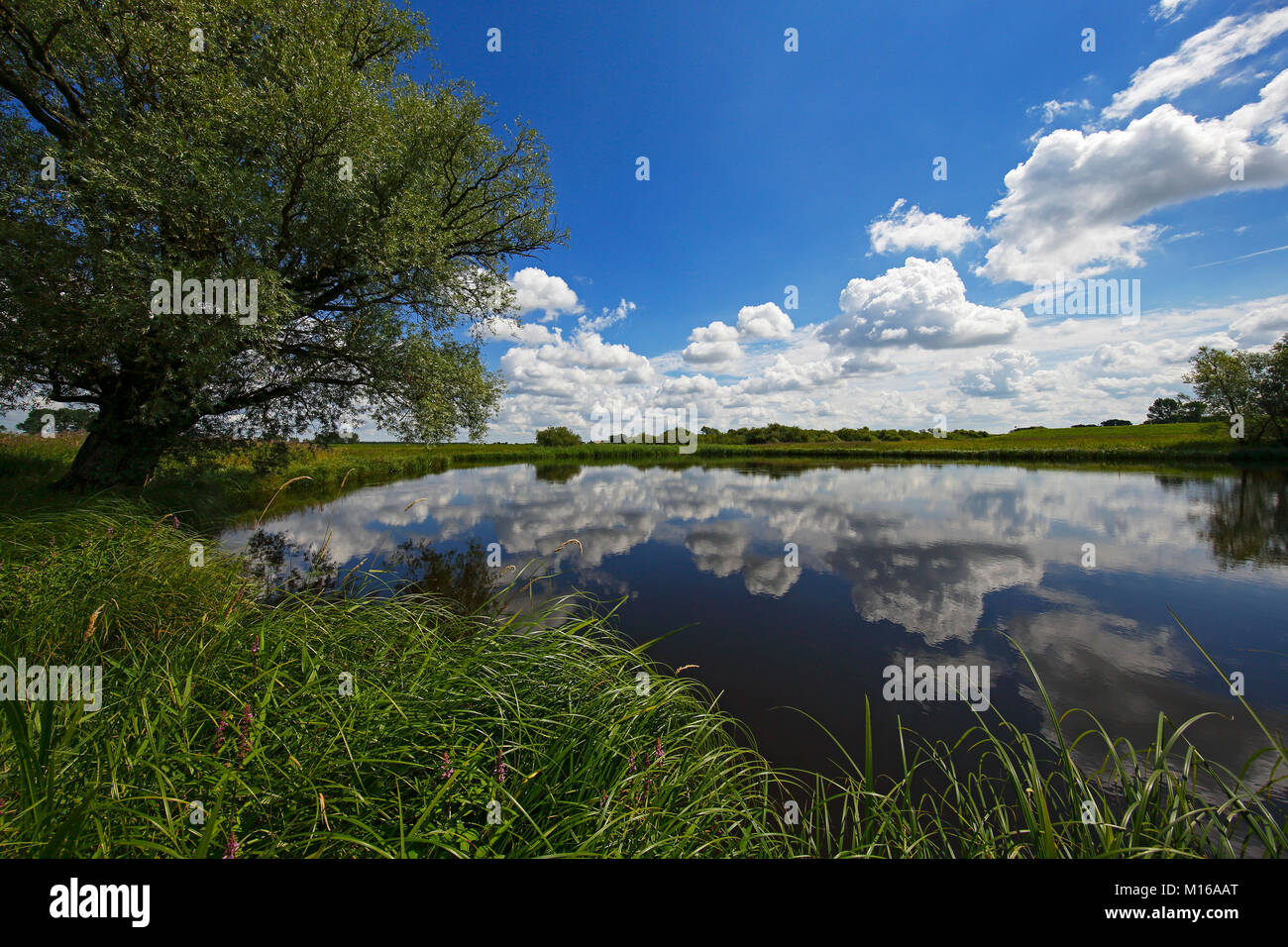 Fluss Sude mit bewölktem Himmel, der Reflexion, des UNESCO-Biosphärenreservat Flusslandschaft Elbe, Mecklenburg-Vorpommern, Deutschland Stockfoto