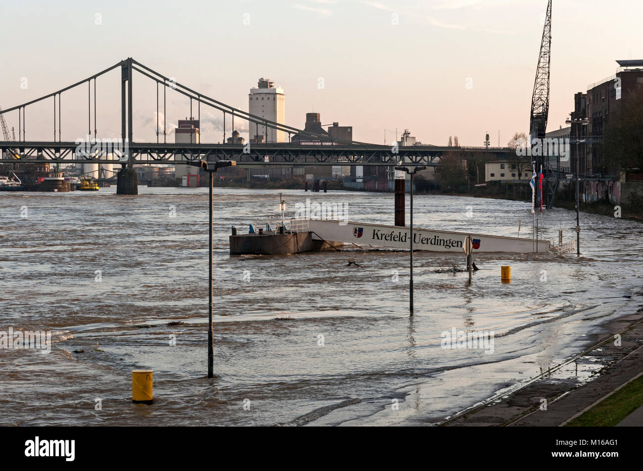 Hochwasser am Rhein, Krefeld, NRW, Deutschland. Stockfoto