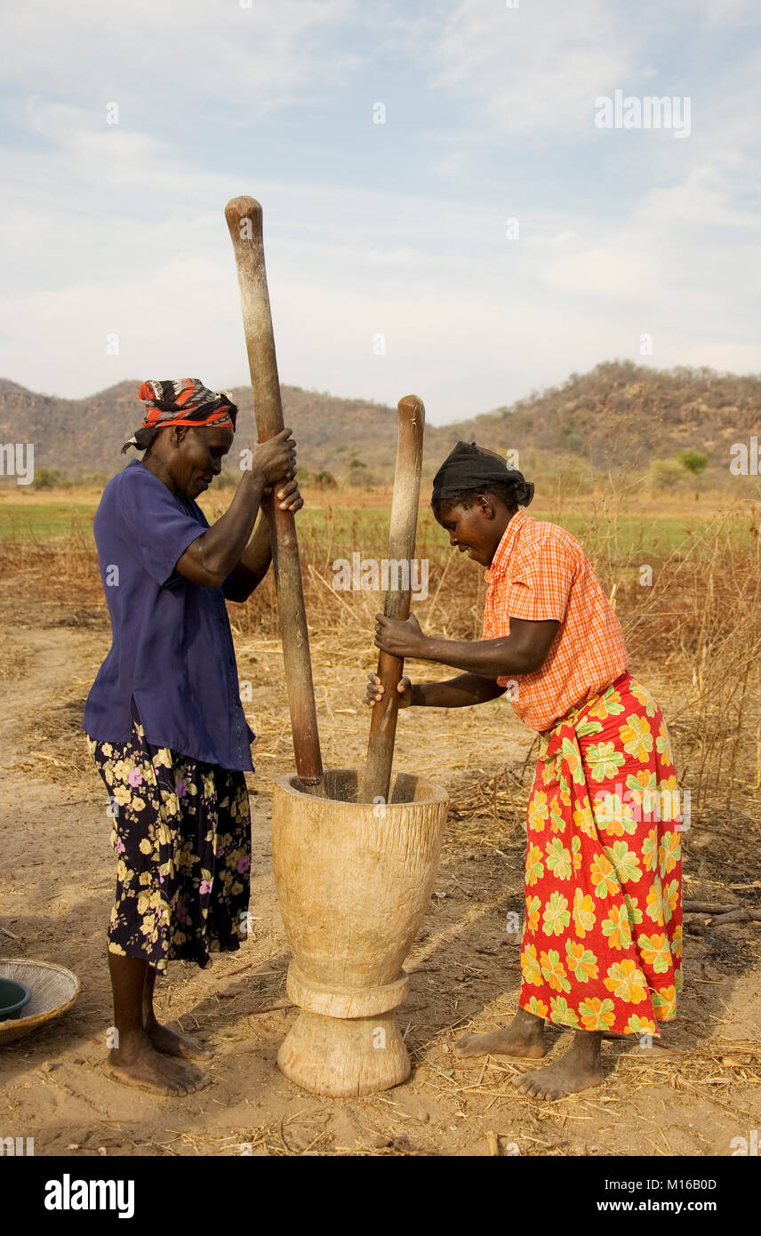 Tonga Frauen schlagen Getreide, Lake Kariba, Sambia Stockfoto
