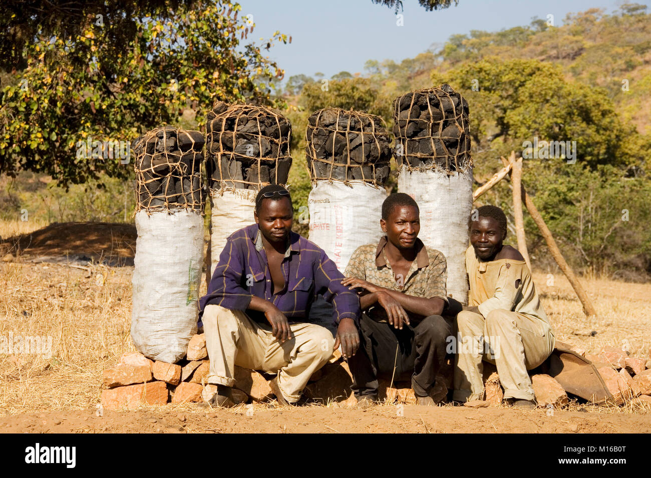 Holzkohle wird auf Zambias Straßenränder, das ist eine echte Bedrohung für die Wälder des Landes verkauft, südlich von Lusaka, Sambia Stockfoto