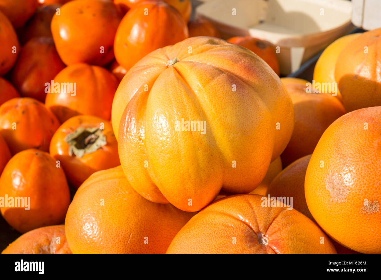 Grapefruit und Kaki unter dem Sonnenlicht auf einer Straße Marktstand Stockfoto