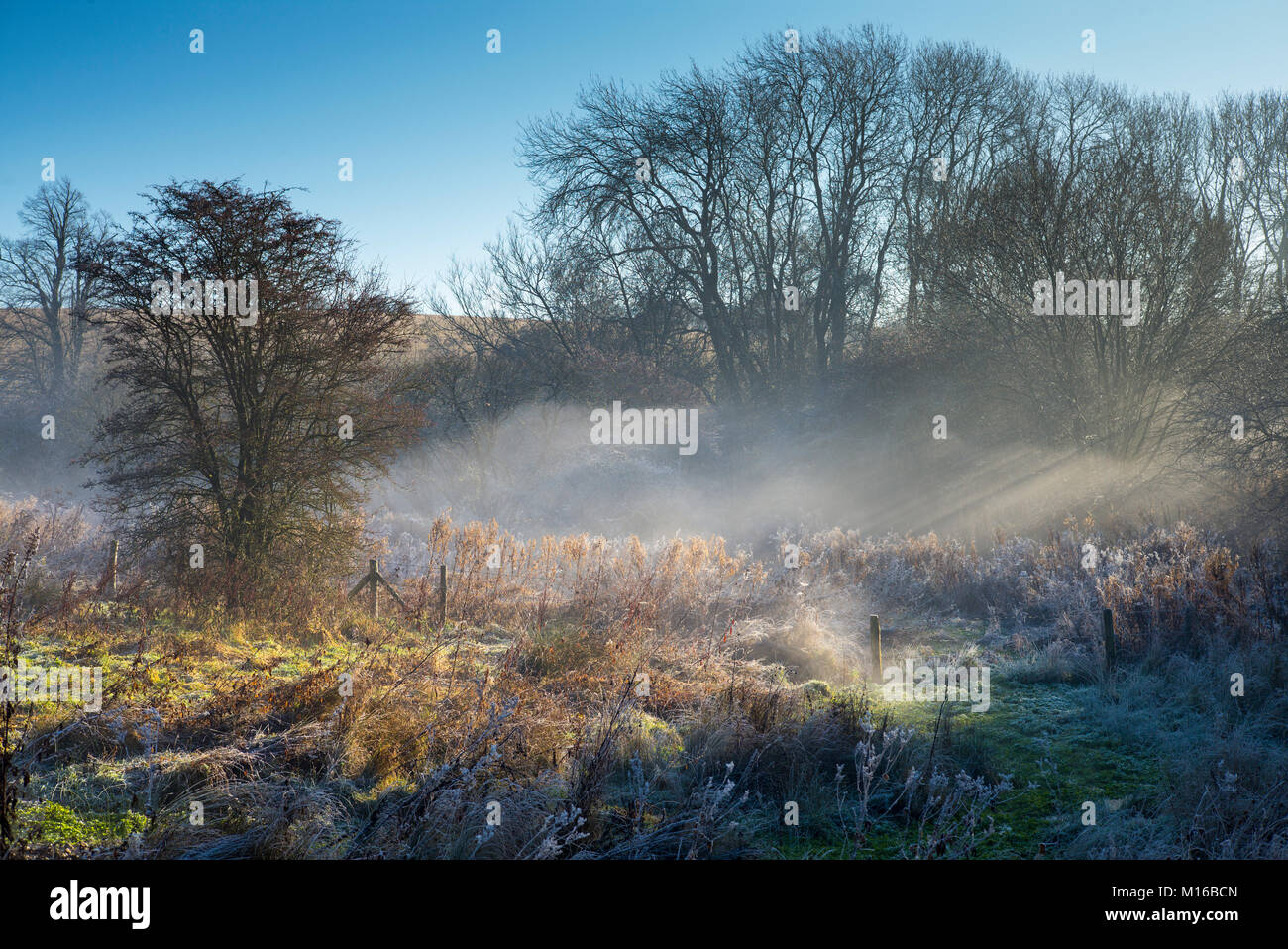 Morgennebel bildet eine typische Winter misty und frostigen Landschaft Szene in Swinbrook in den Cotswolds, England, Großbritannien Stockfoto