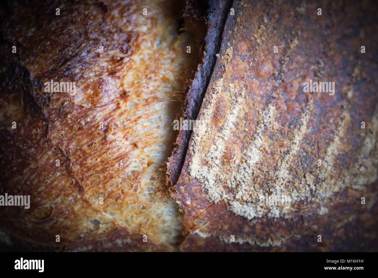 Frisch gebackene artisan Sauerteig Brot Stockfoto