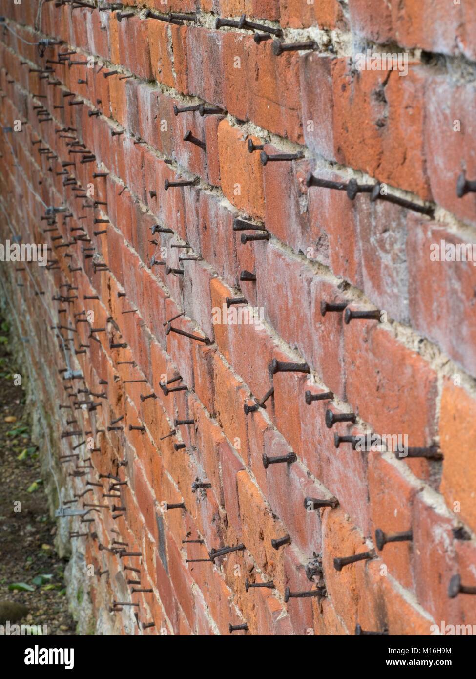 Nägel in einem Red brick wall Stockfoto