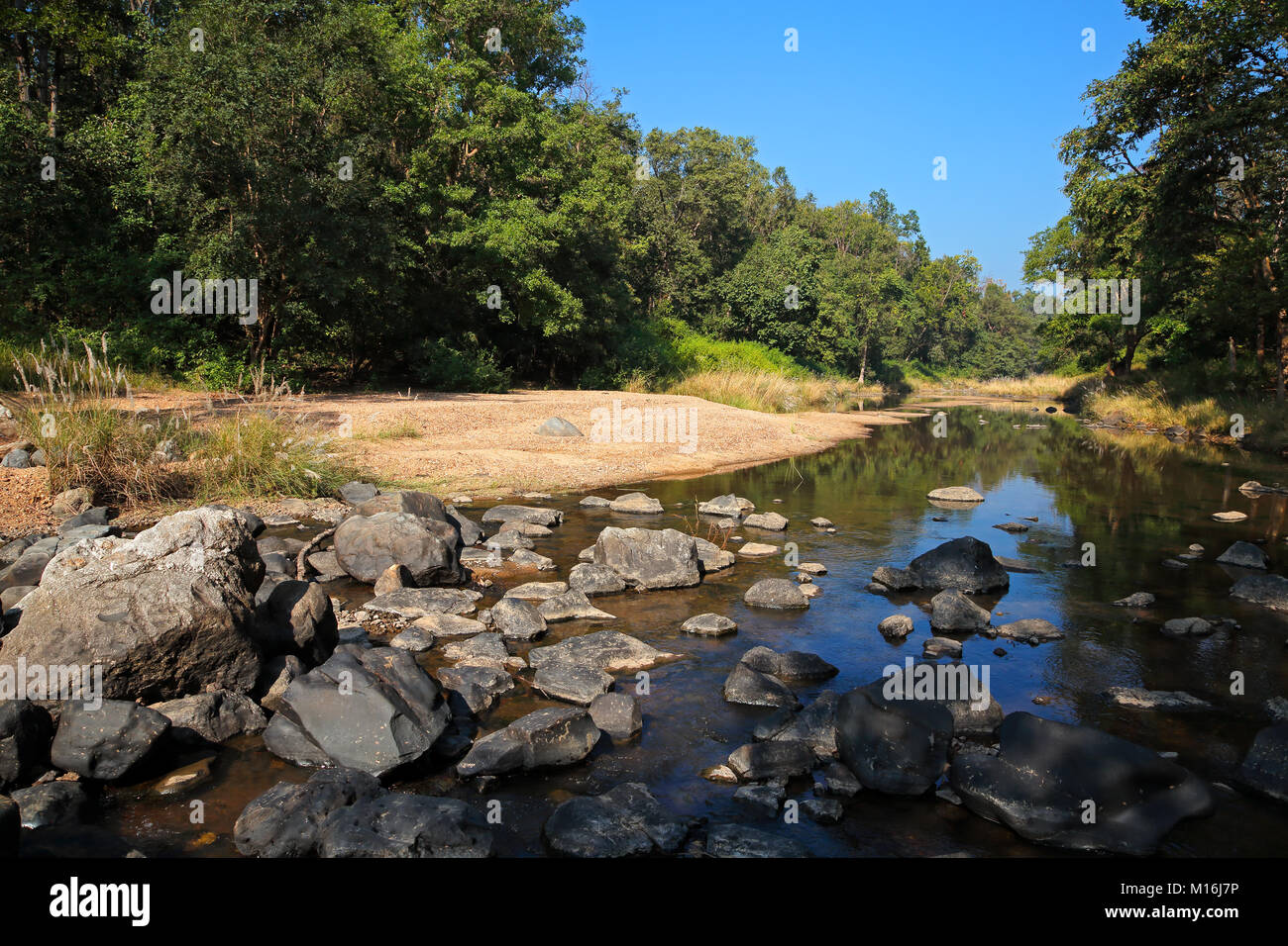 Landschaft mit einem Fluss und Wald Bäume, Kanha Nationalpark, Indien Stockfoto