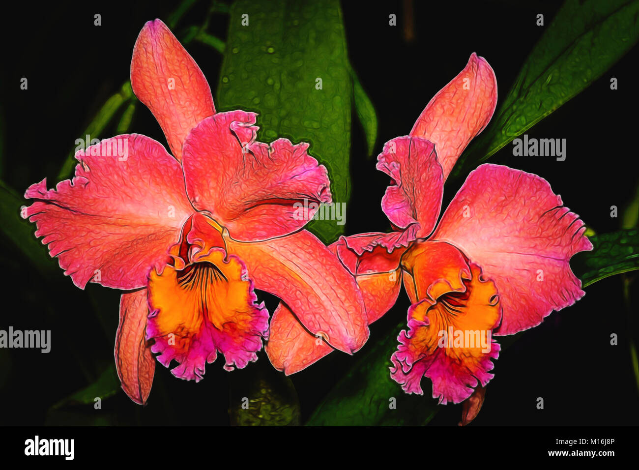 Nahaufnahme der farbenfrohe künstlerische Orchidee Blumen Stockfoto