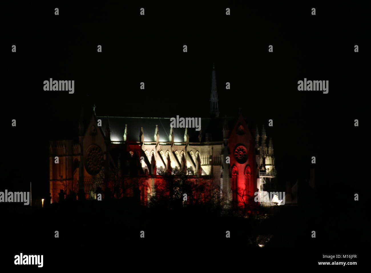 Arundel Kathedrale beleuchtet für Spenden-infos Tag Stockfoto