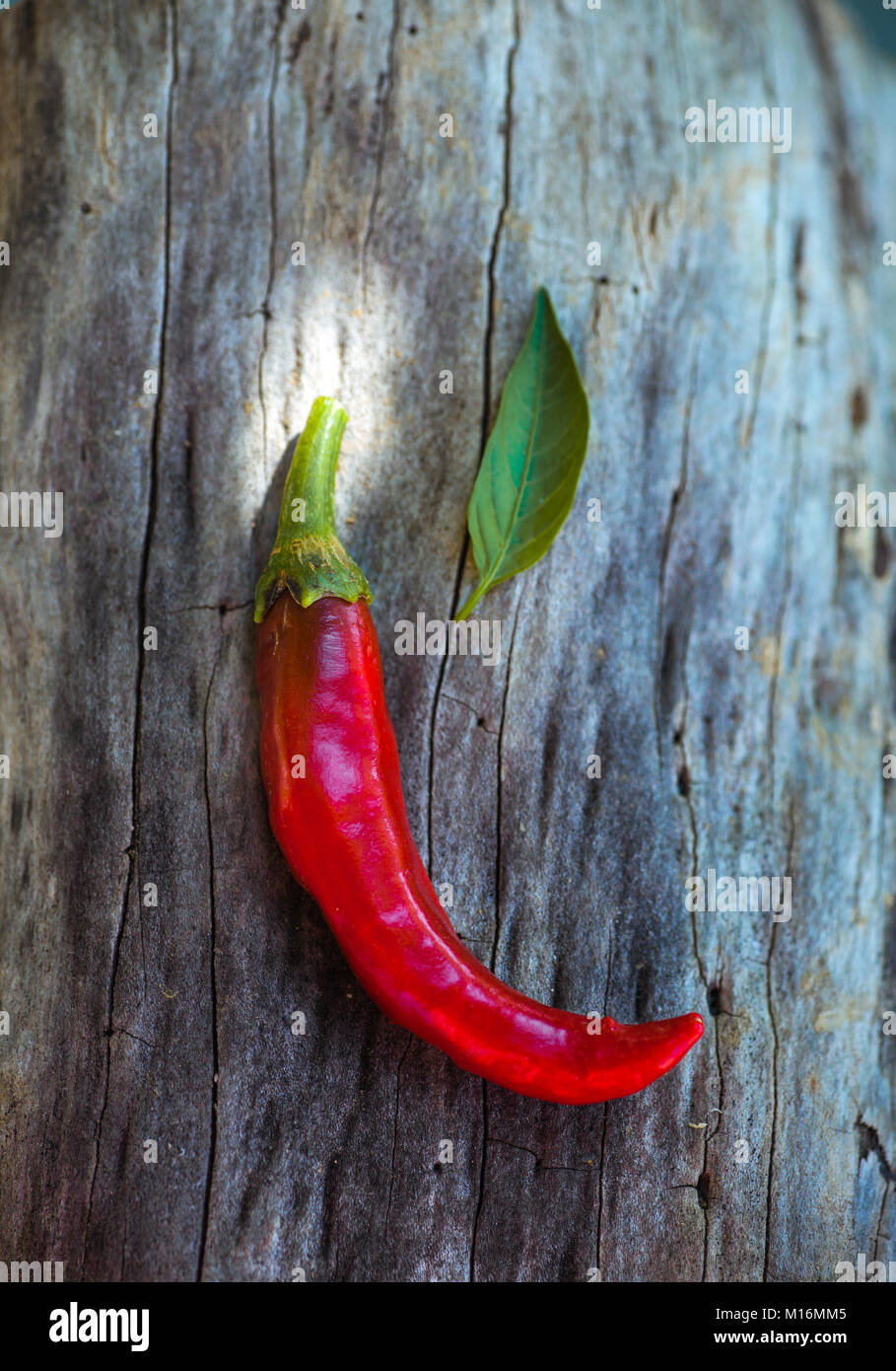 Food Ingredients. Frische Red Hot Chili Pepper Stockfoto