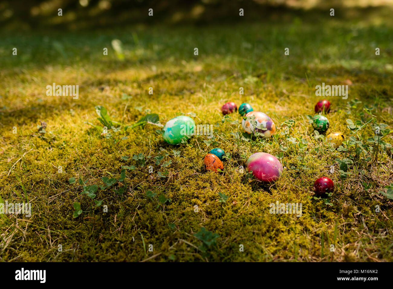 Ostern Hintergrund auf dem Gras Stockfoto