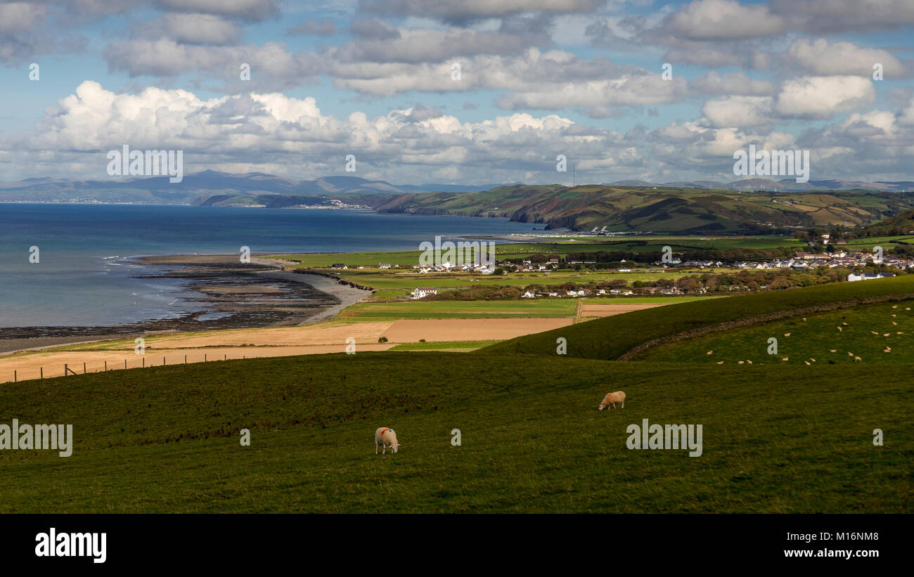Blick über die Cardigan Bay an der walisischen Küste mit Schafe weiden in Feldern Stockfoto