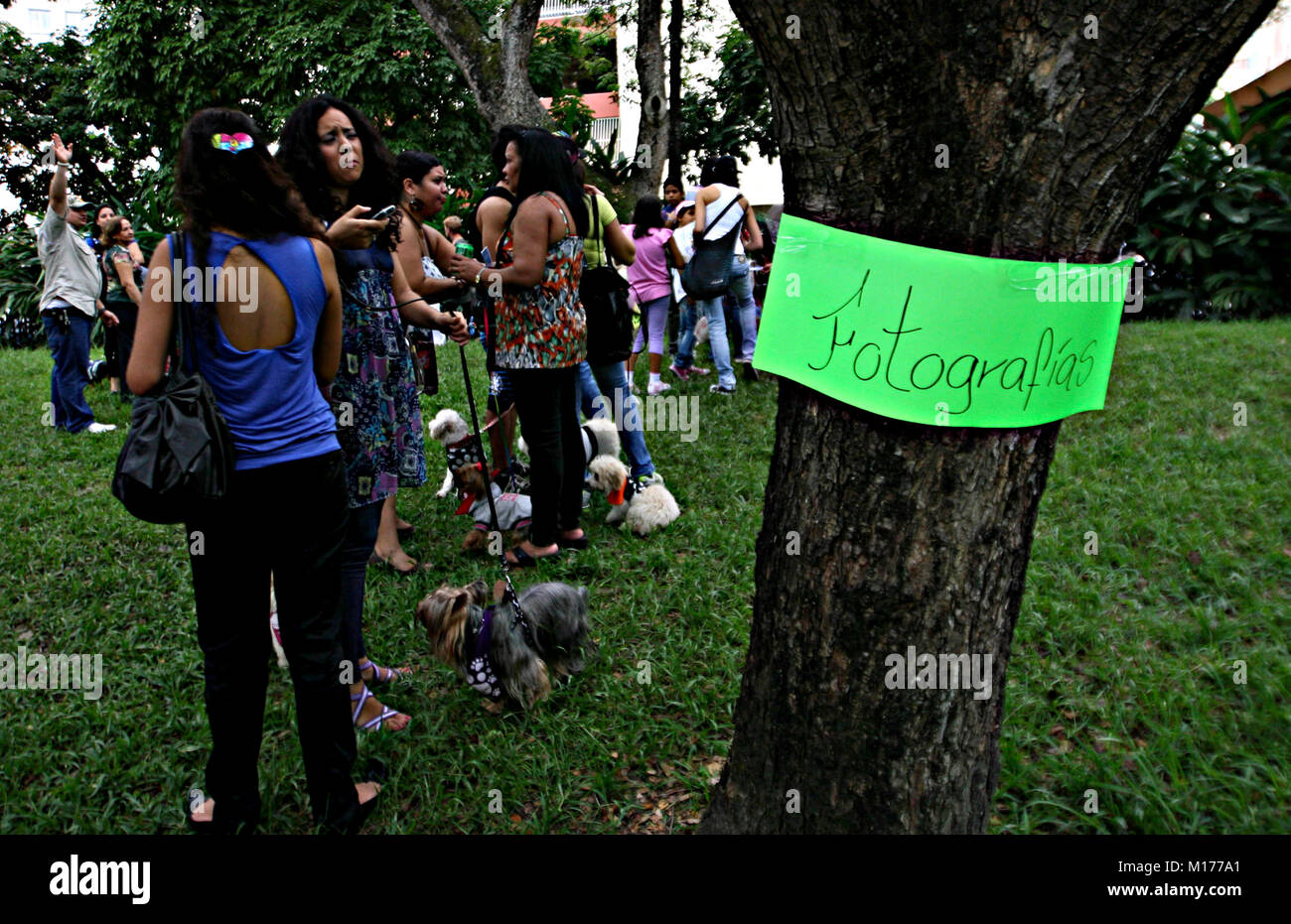 Valencia, Carabobo, Venezuela. 2. Okt 2011. Oktober 02, 2010. Feier der Tiere Tag in der Stadt Valencia, Carabobo Zustand. Foto: Juan Carlos Hernandez Credit: Juan Carlos Hernandez/ZUMA Draht/Alamy leben Nachrichten Stockfoto