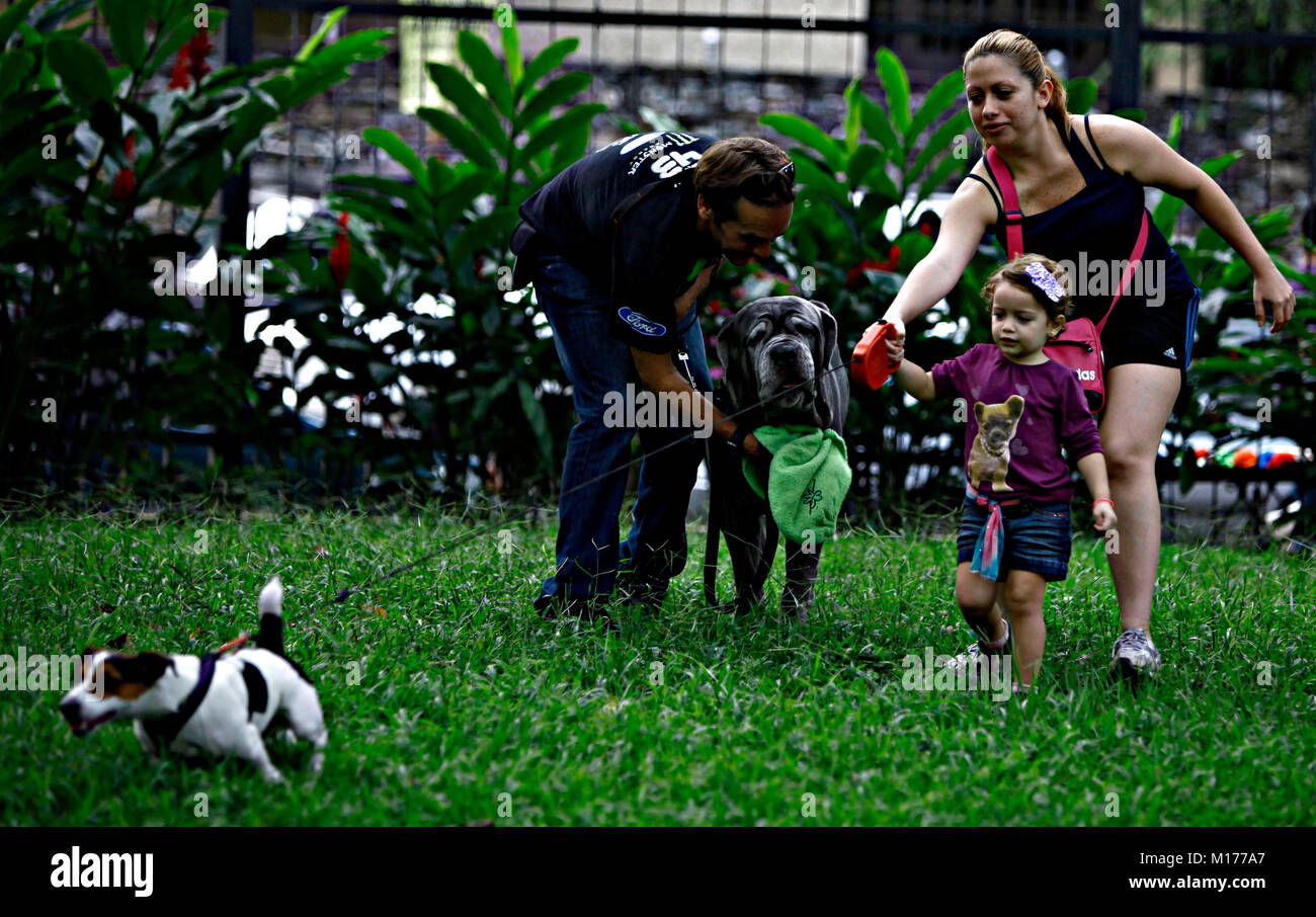 Valencia, Carabobo, Venezuela. 2. Okt 2011. Oktober 02, 2010. Feier der Tiere Tag in der Stadt Valencia, Carabobo Zustand. Foto: Juan Carlos Hernandez Credit: Juan Carlos Hernandez/ZUMA Draht/Alamy leben Nachrichten Stockfoto