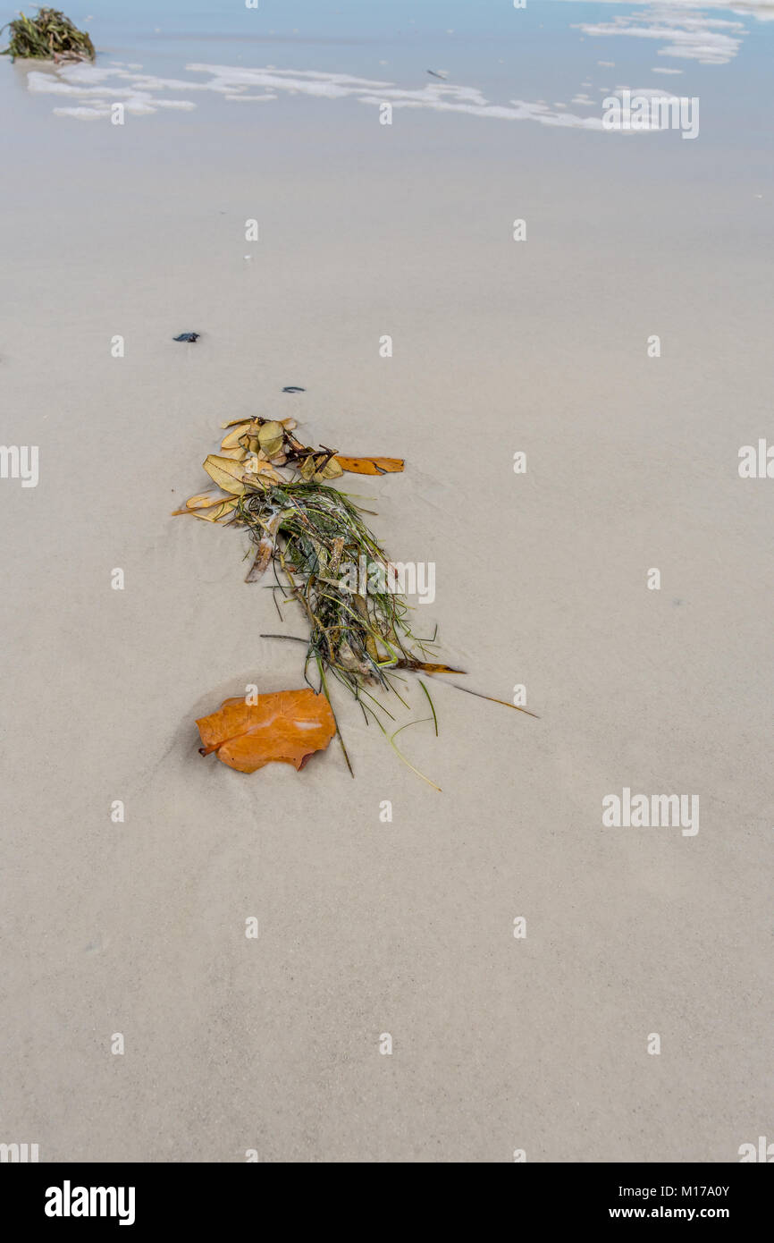 In Clearwater Beach, Florida fotografiert. Stockfoto