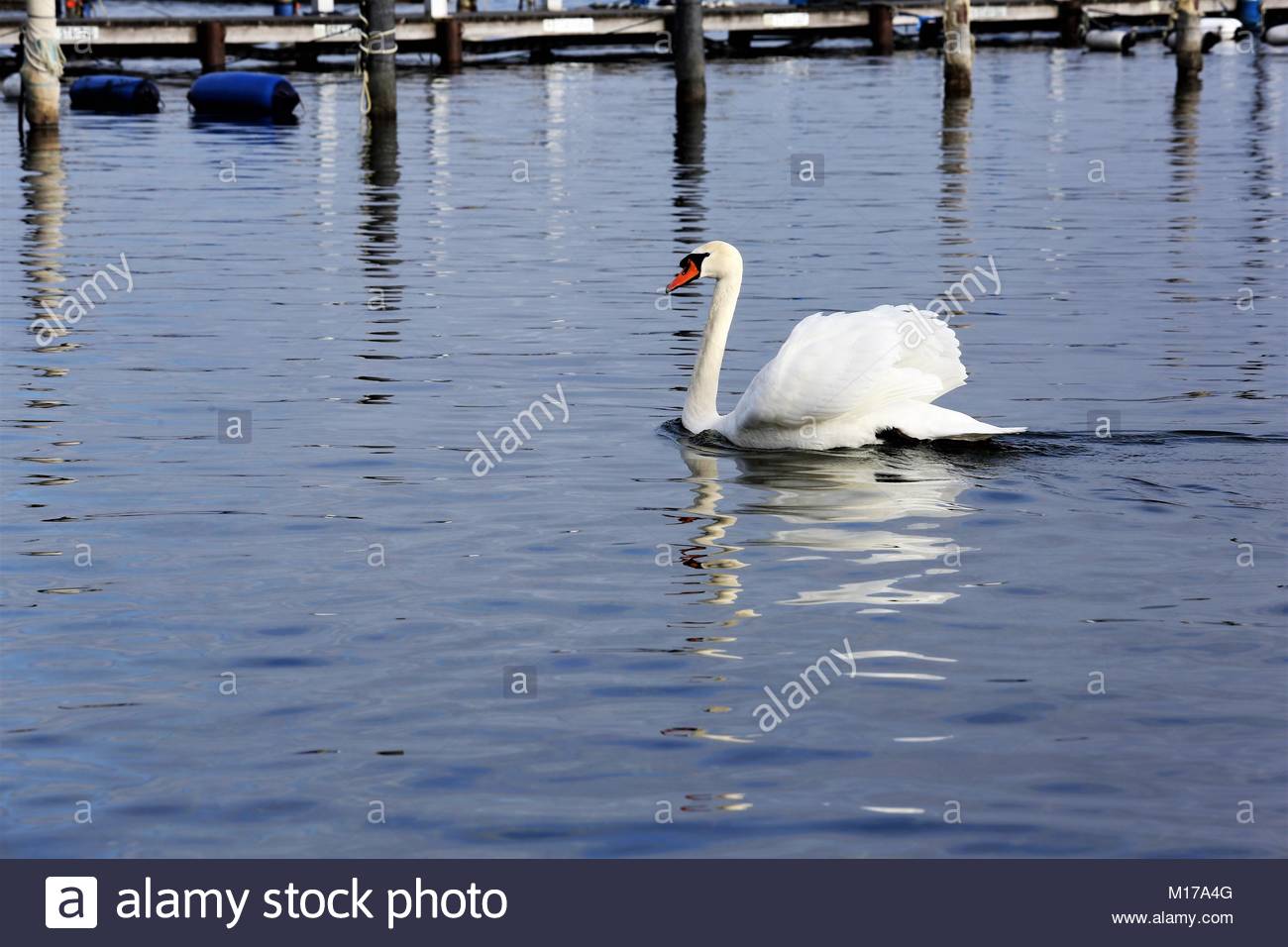 Ein Blick auf den Starnberger See südlich von München in Bayern Deutschland an einem Winter. Stockfoto