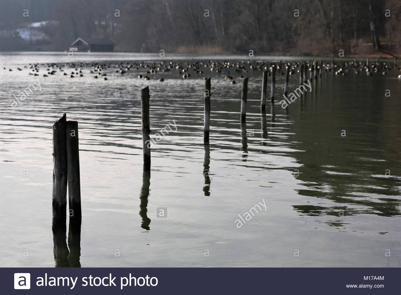 Ein Blick auf den Starnberger See südlich von München in Bayern Deutschland an einem Winter. Stockfoto