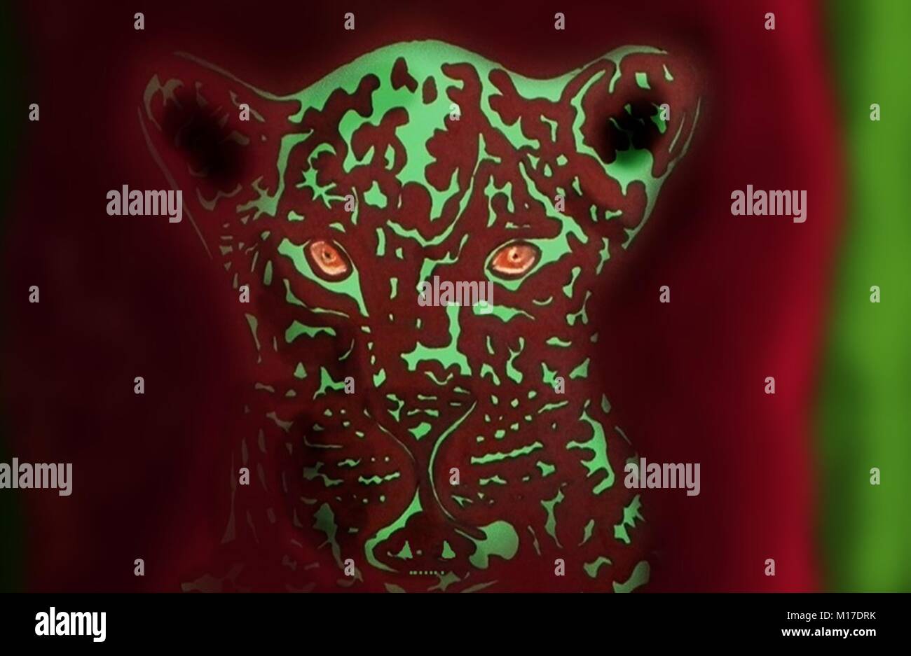 Leopard Artwork. Leoparden sind in ganz Afrika gefunden. Diese carnivors sind hauptsächlich noctural und scheu und selten in freier Wildbahn gesehen. Stock Vektor