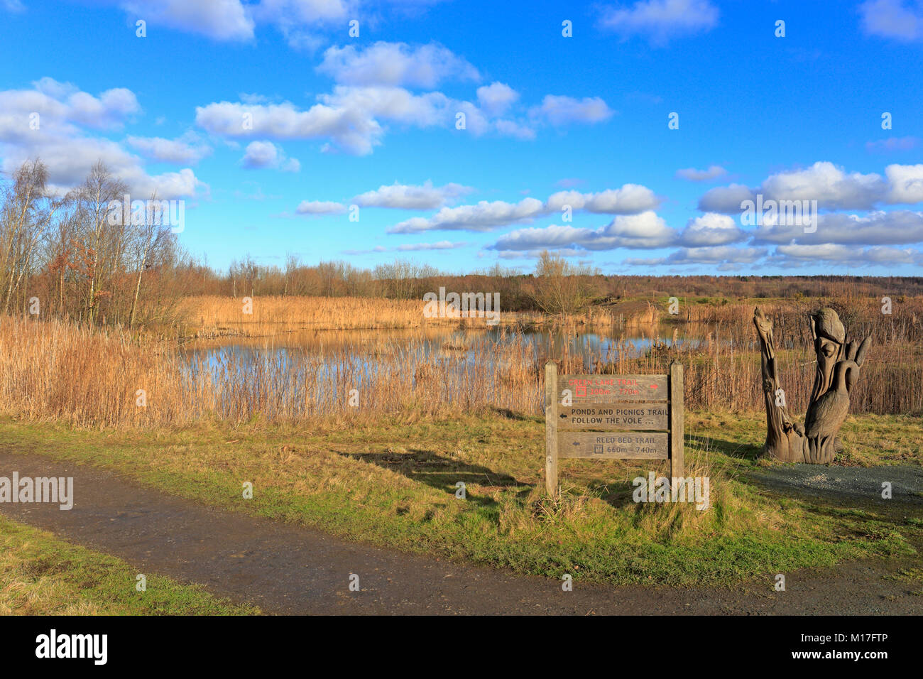 RSPB Dearne Tal alte Moor, Wetland Centre finden, Wombwell, Bolton auf Dearne, Barnsley, South Yorkshire, England, UK. Stockfoto