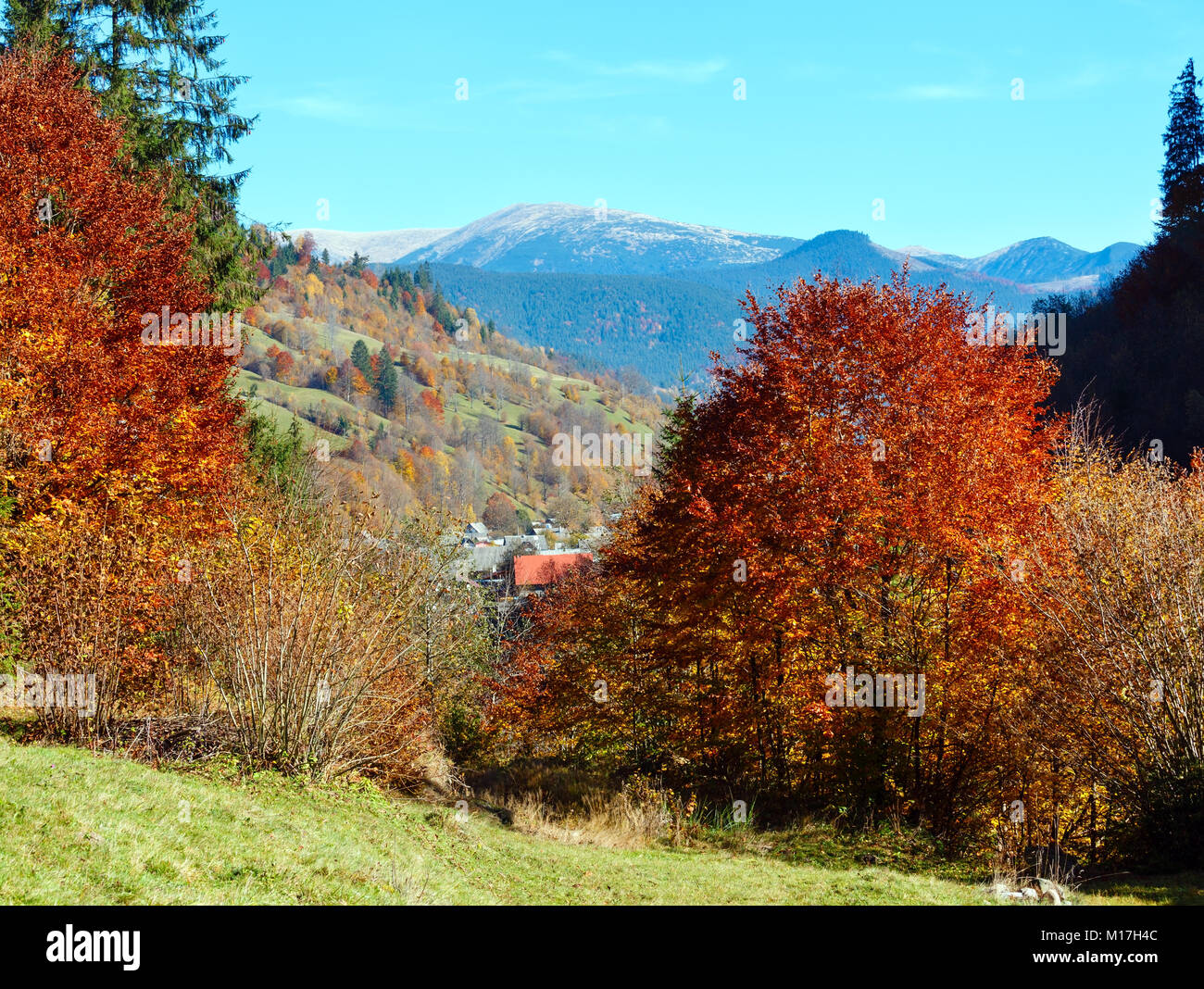 Herbst Karpaten Landschaft mit bunten gelb-orange-rot-braun Bäume am Hang (Transkarpatien, Ukraine). Stockfoto