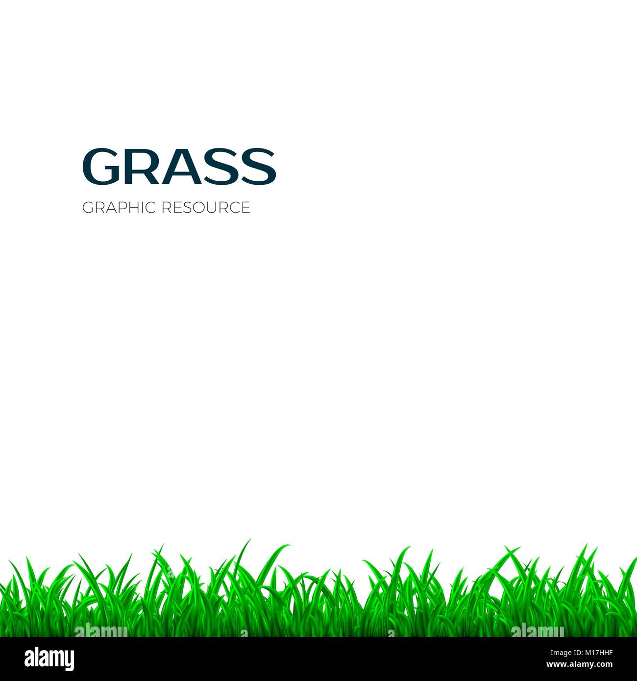 Gras Grenze. Horizontale Banner mit grünem Gras. Vector Illustration auf weißem Hintergrund Stock Vektor