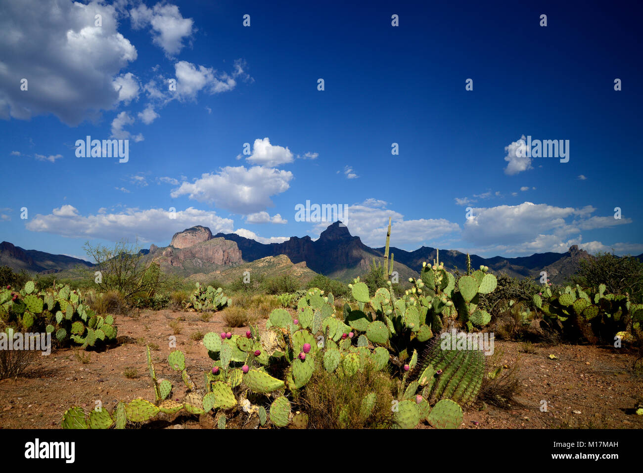 Baboquivari baboquivari Peak, Berge, Sonoran Wüste, Tohono O'odham Reservierung, südöstlich von Verkauft, Arizona, USA. Stockfoto