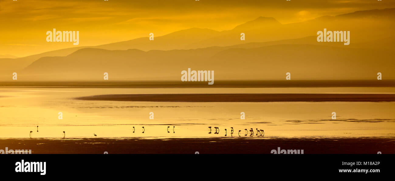 12 Stunden rund um die Salar de Uyuni Stockfoto