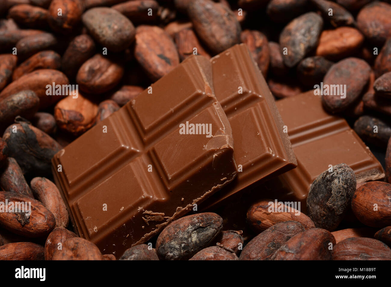 Schokolade und Kakao Stockfoto