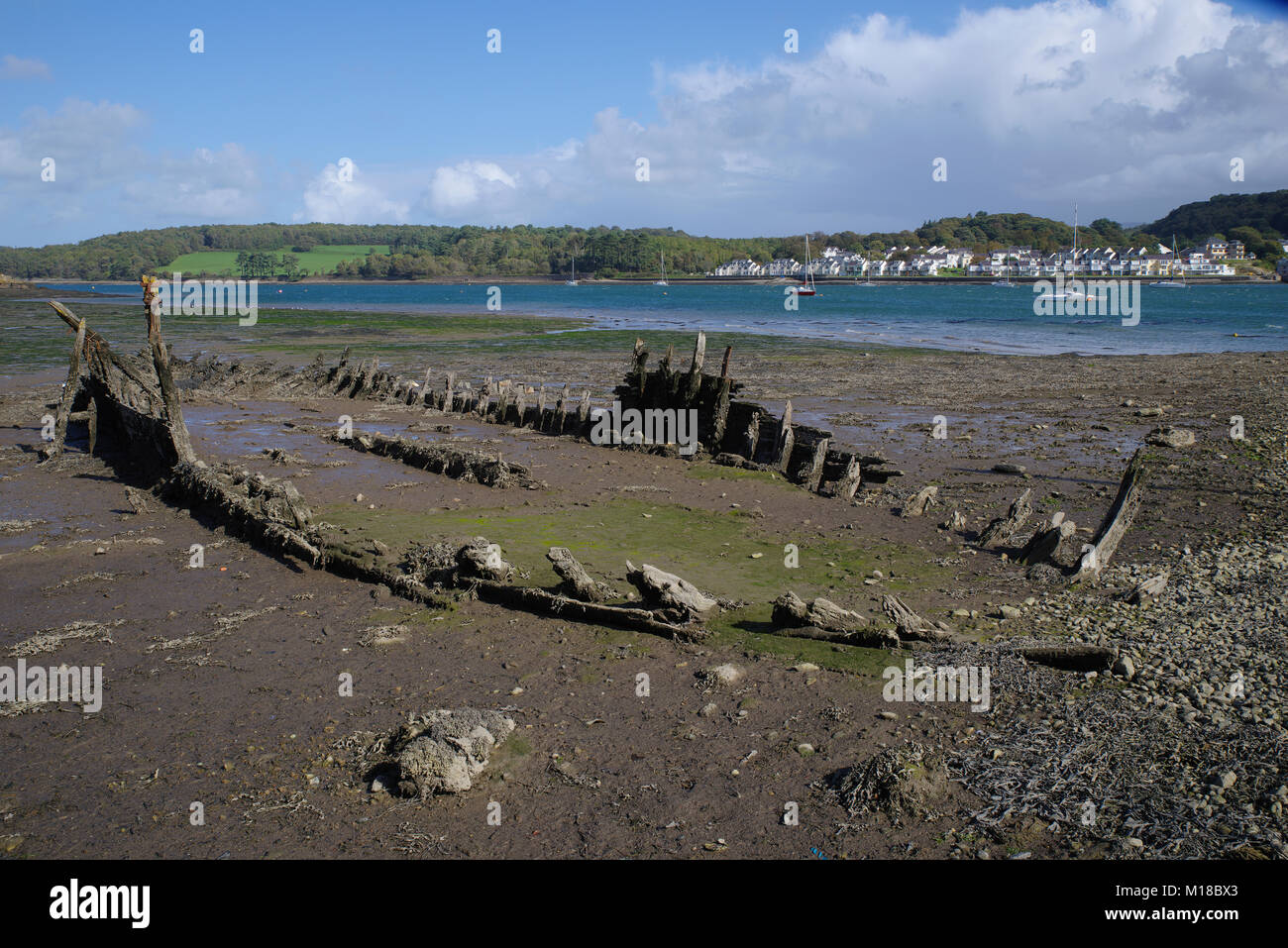 Überreste eines hölzernen Bootsrumpf, Menai Strait, Anglesey, Nordwales, Vereinigtes Königreich. Stockfoto