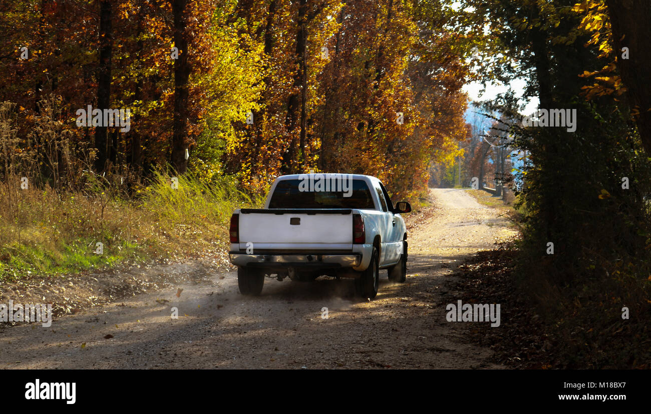 Weißer Pickup truck Fahren auf staubiger Piste mit Herbstlaub und Staub hinter Stockfoto