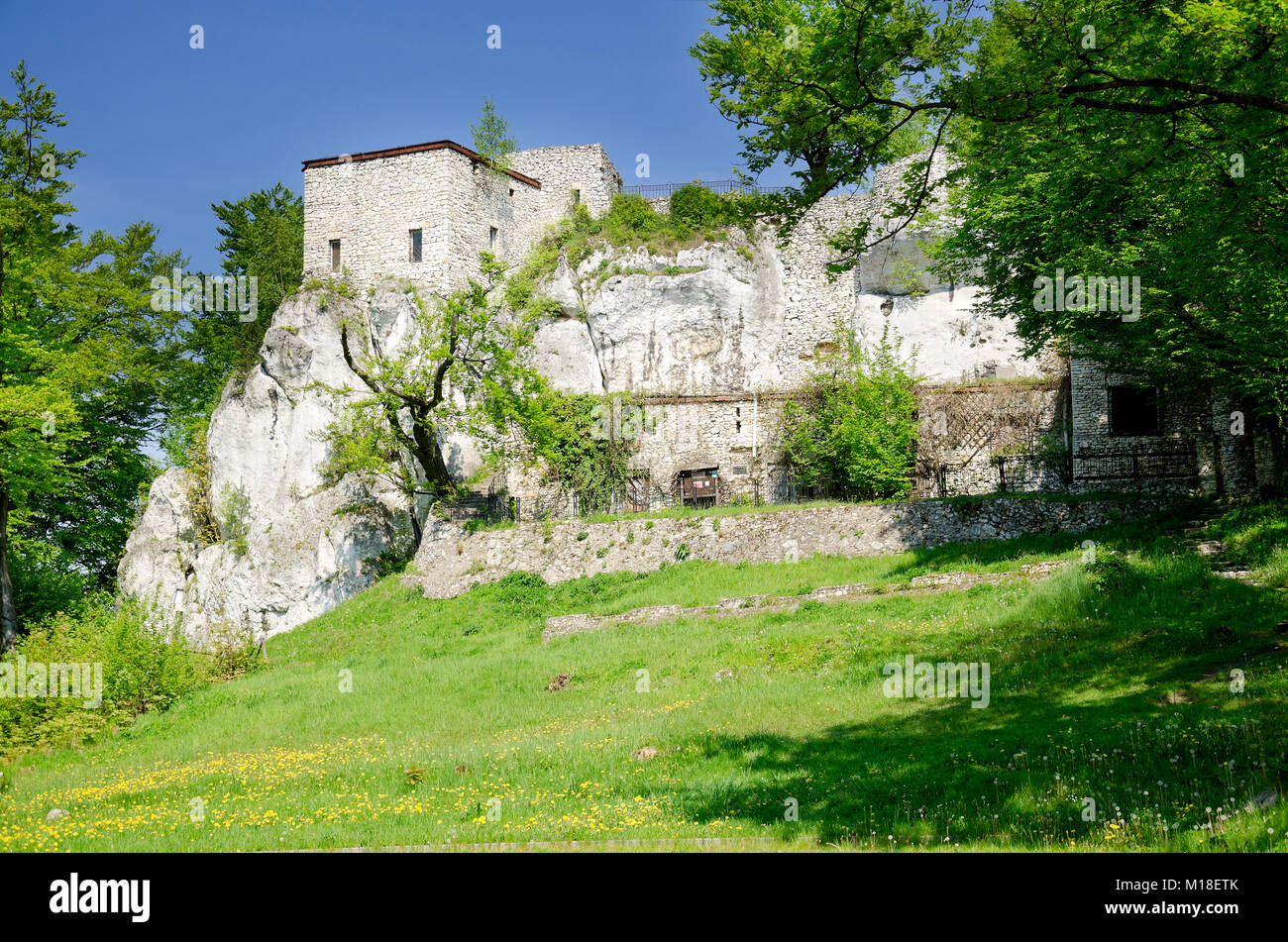 Ruinen von ritterburg Bakowiec in Morsko Dorf, Teil der Trail von Nestern mittelalterliche Verteidigungssystem der Adler, Polnische Jurassic Highland, weniger Pola Stockfoto