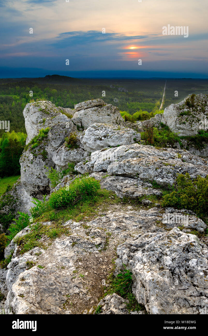 Naturschutzgebiet Mount Zborow/Berkowa. Polnische Jurassic Highland, Woiwodschaft Kleinpolen, Europa Stockfoto