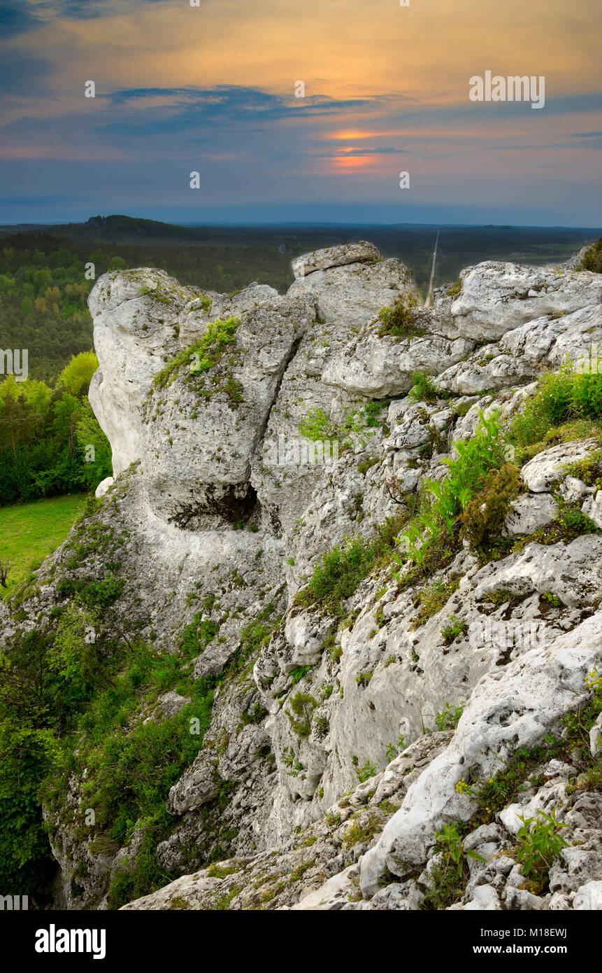 Naturschutzgebiet Mount Zborow/Berkowa. Polnische Jurassic Highland, Woiwodschaft Kleinpolen, Europa Stockfoto