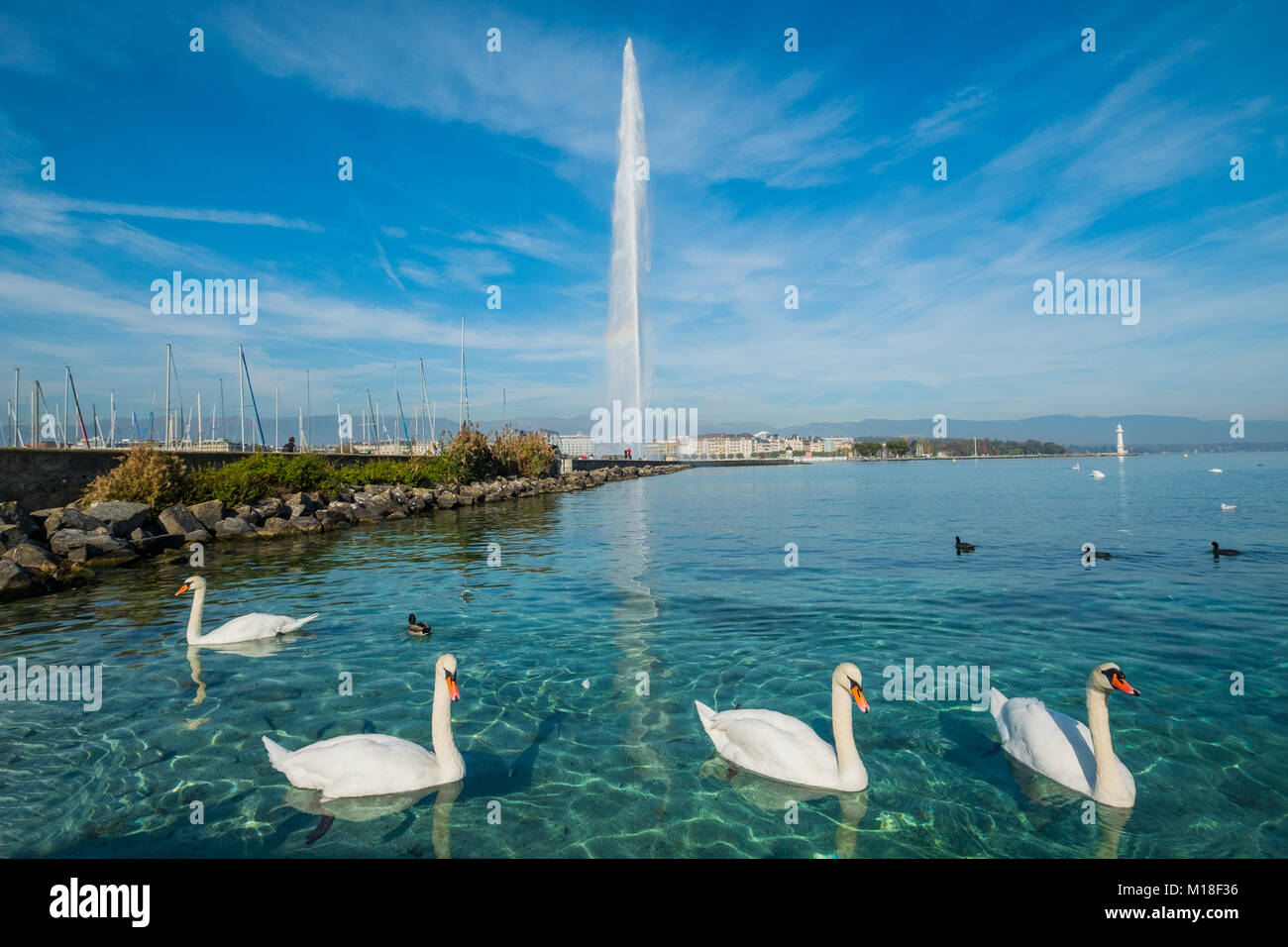 Den Genfer See in Genf, Schweiz Stockfoto