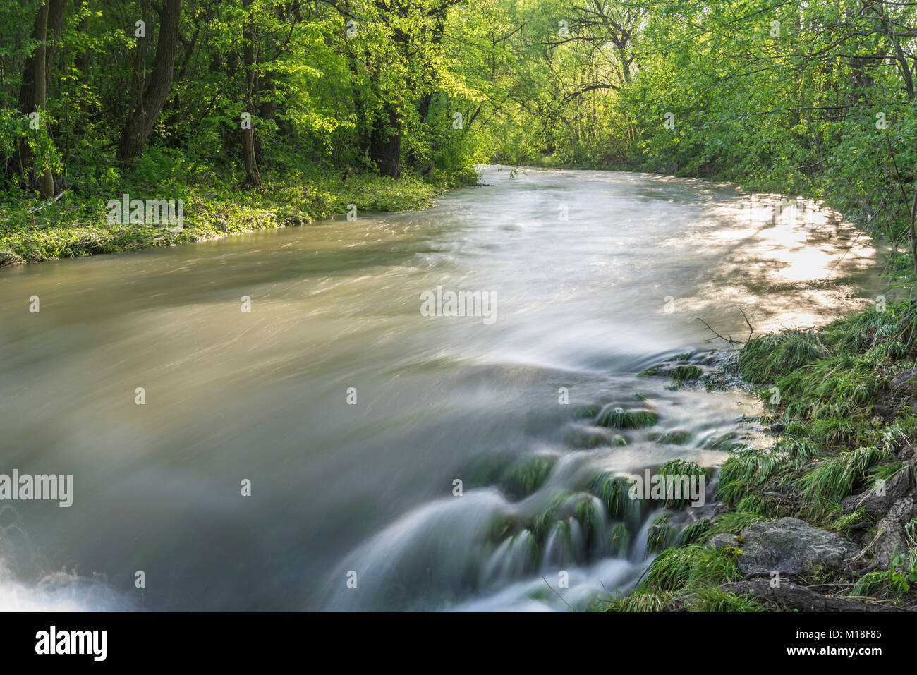 Fluss Triesting, Wiener Wald, Lower Austria, Austria Stockfoto