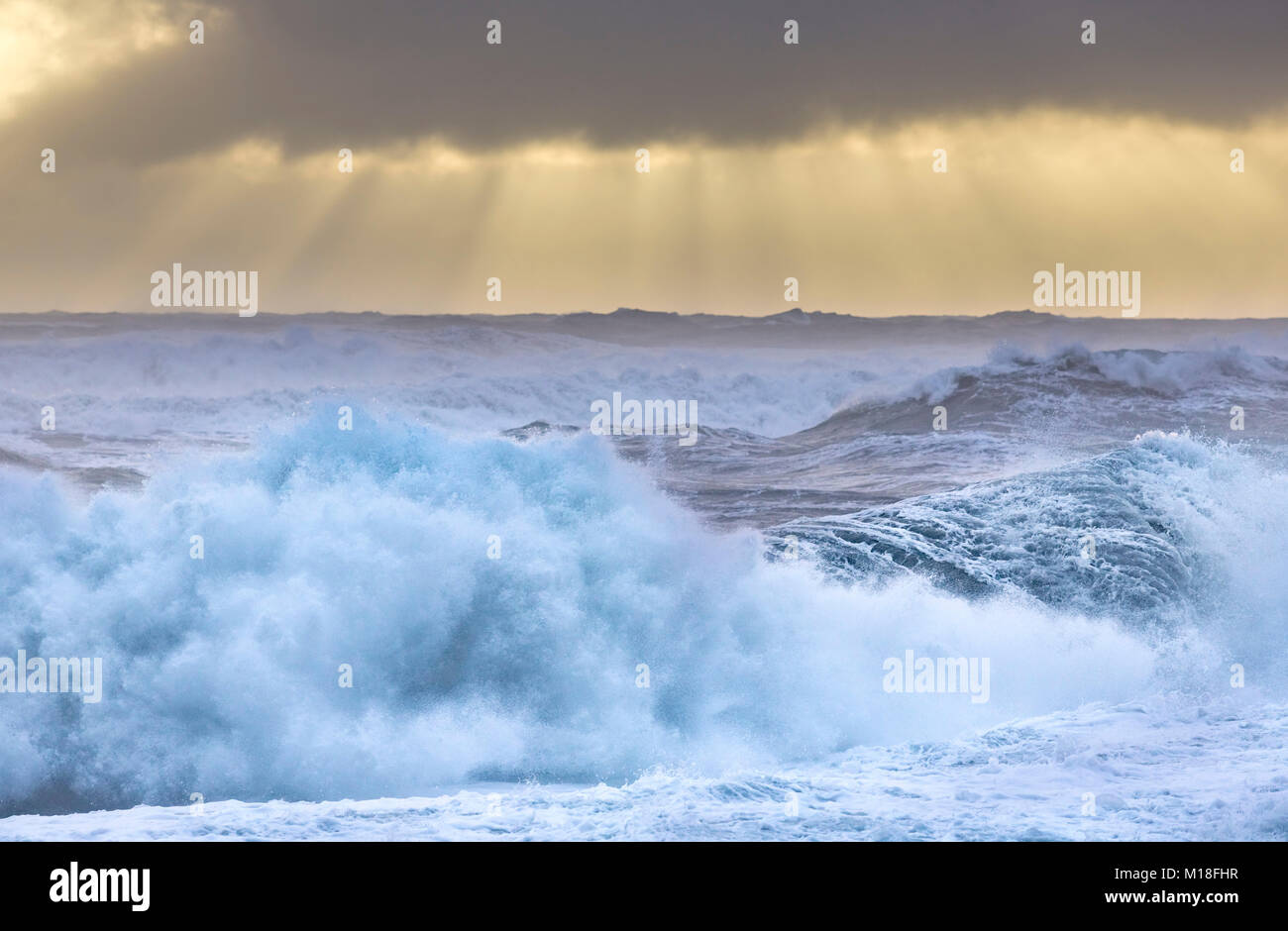Storm Wellen am Strand Reynisfjara, Vik, Rangárvallahreppur, Iceland Stockfoto