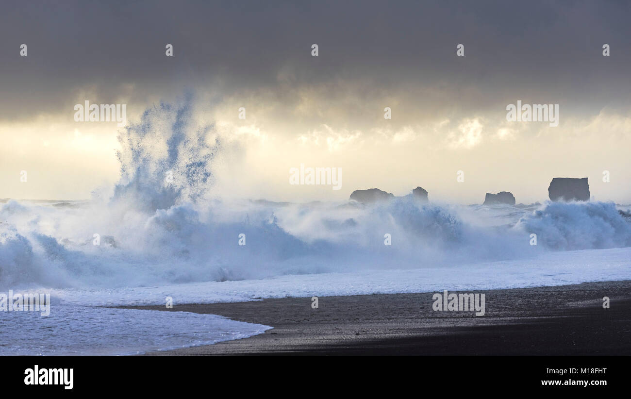 Storm Wellen an reynisfjara Black Sand Beach und Cape Dyrholey, Vik, Rangárvallahreppur, Iceland Stockfoto