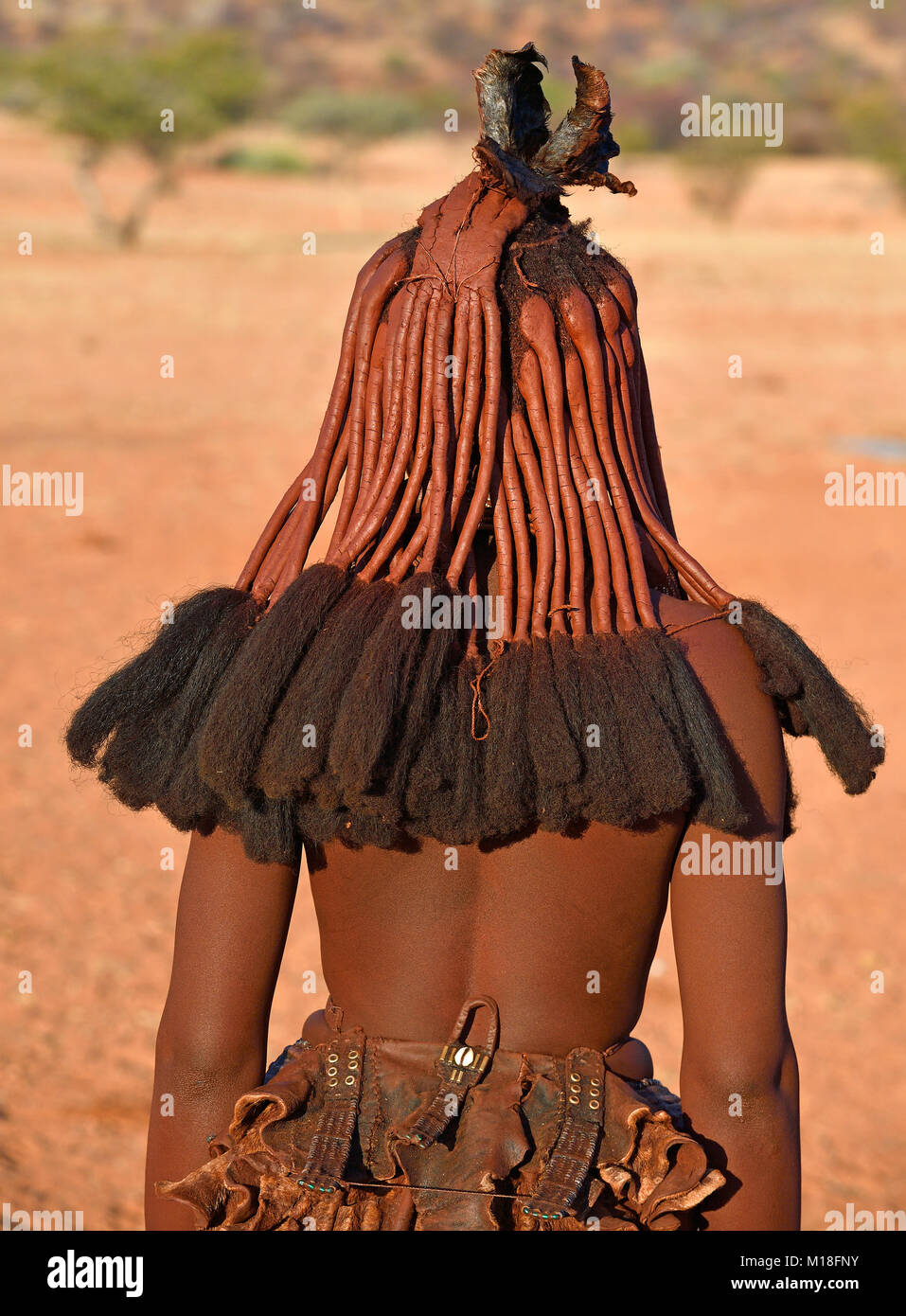 Haarspangen einer jungen verheirateten Himbafrau, Kaokoveld, Namibia Stockfoto