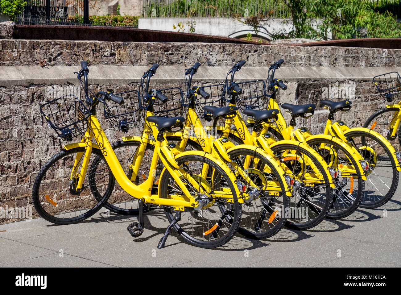 Öffentliche smart Mietwagen Station - kostenlose Fahrräder/Bikes von ofo Bike Fahrer an Straßen von Sydney, NSW, Australien. Stockfoto