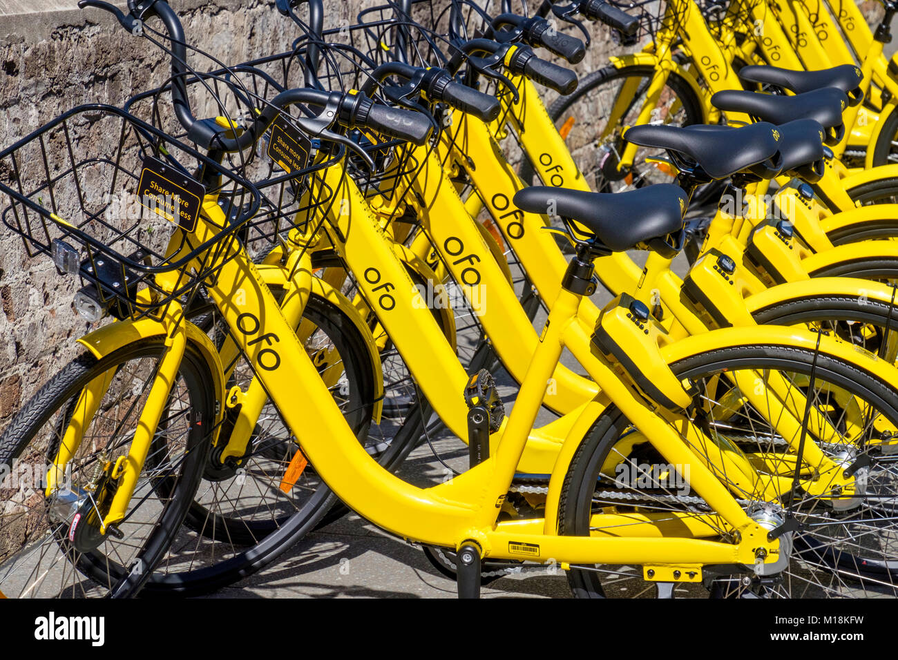 Öffentliche smart Mietwagen Station - kostenlose Fahrräder/Bikes von ofo Bike Fahrer an Straßen von Sydney, NSW, Australien. Stockfoto