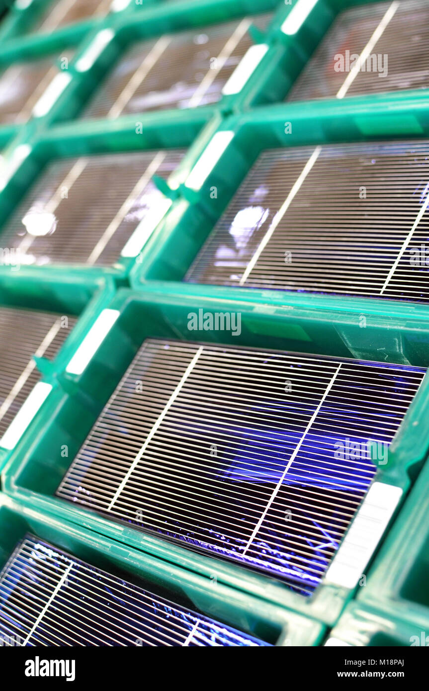 Die Produktion von Solarzellen - wafer Module für die Endmontage Stockfoto