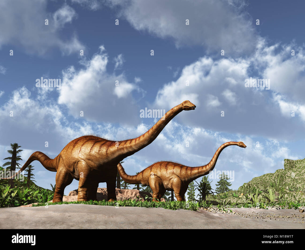 Zwei Dinosaurier Diplodocus Stockfoto