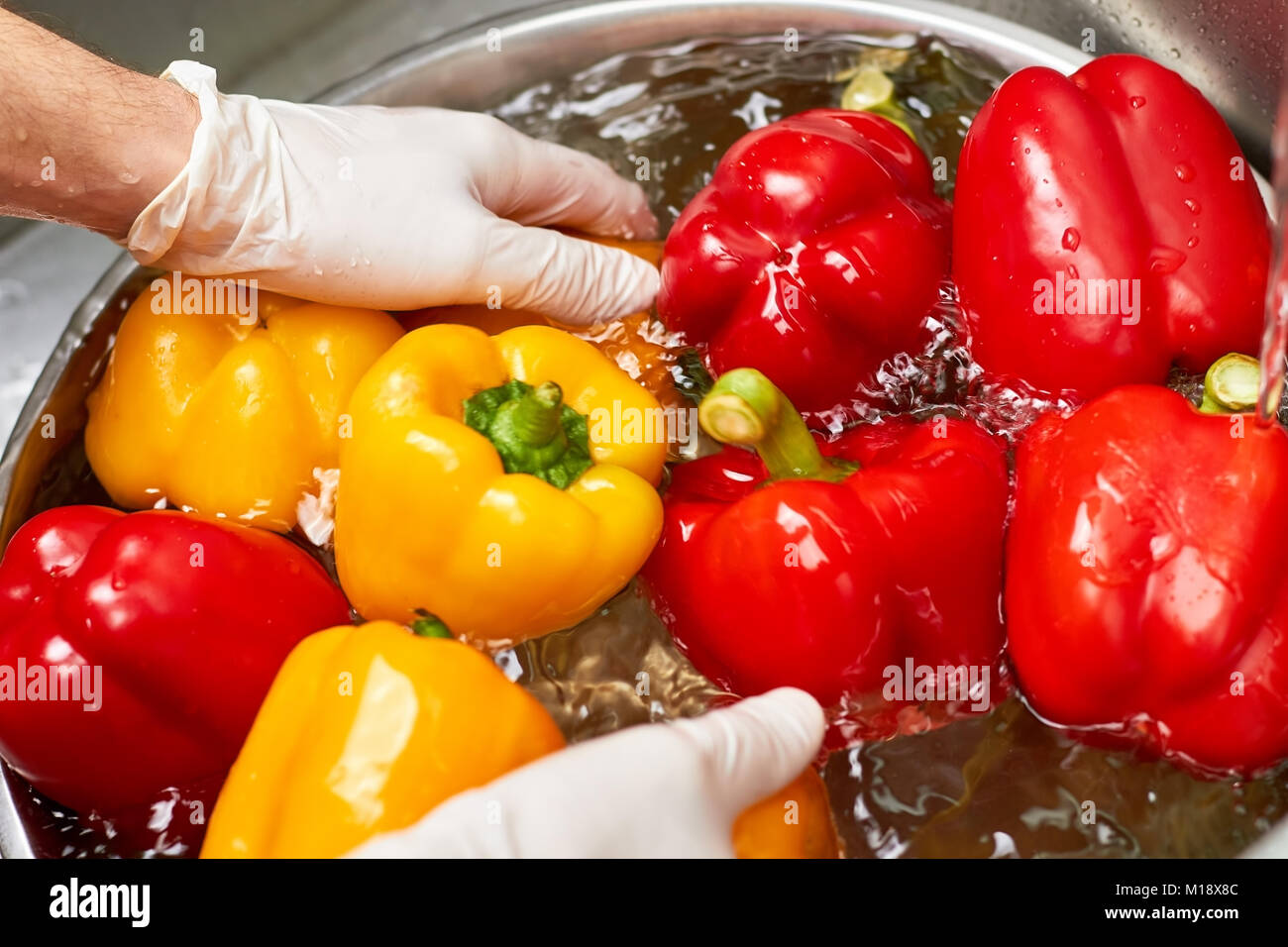 Hände in Handschuhen waschen Paprika in die Schüssel, bis zu schließen. Stockfoto