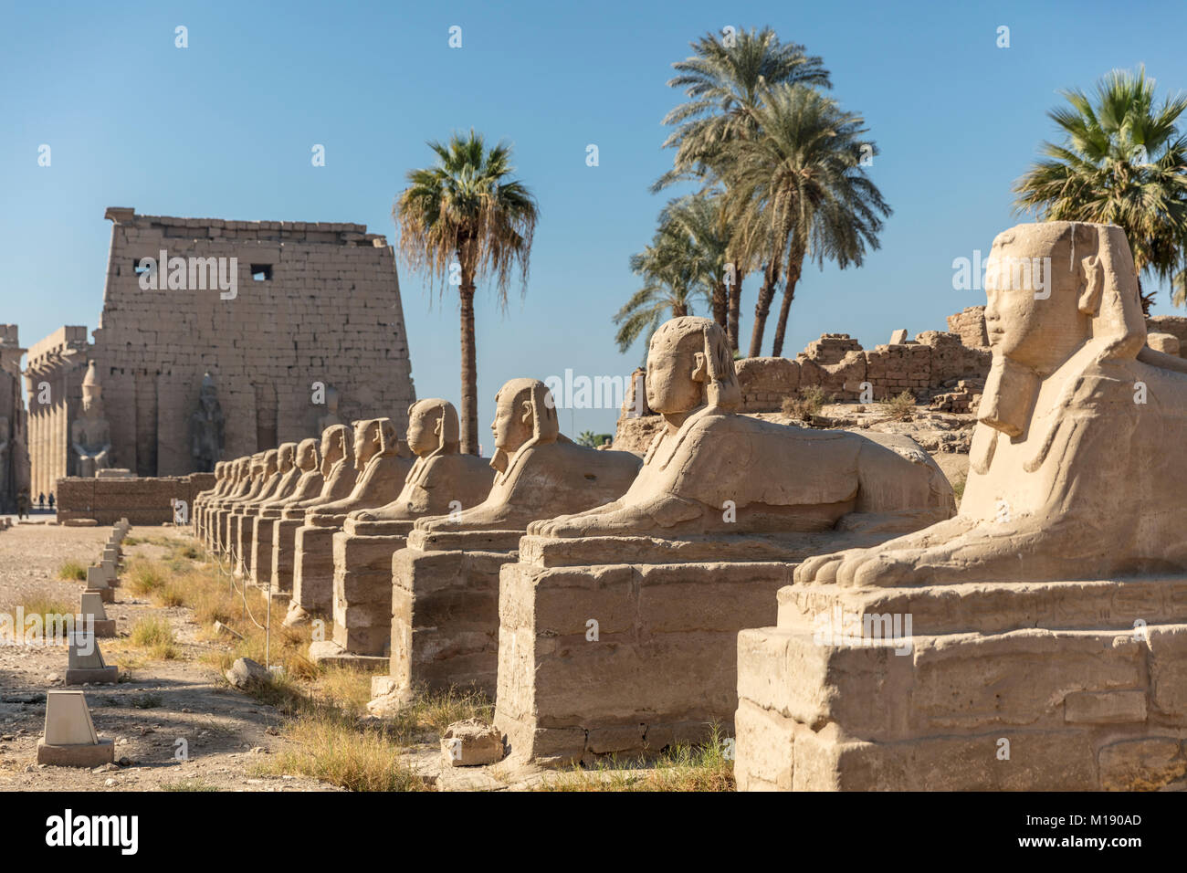 Luxor-Tempel, Luxor, Ägypten Stockfoto