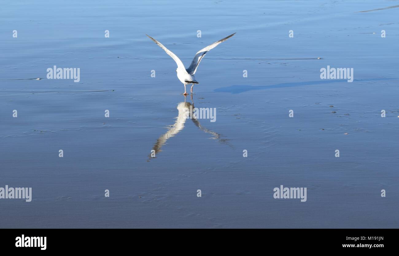 Einen Neuanfang Stockfoto