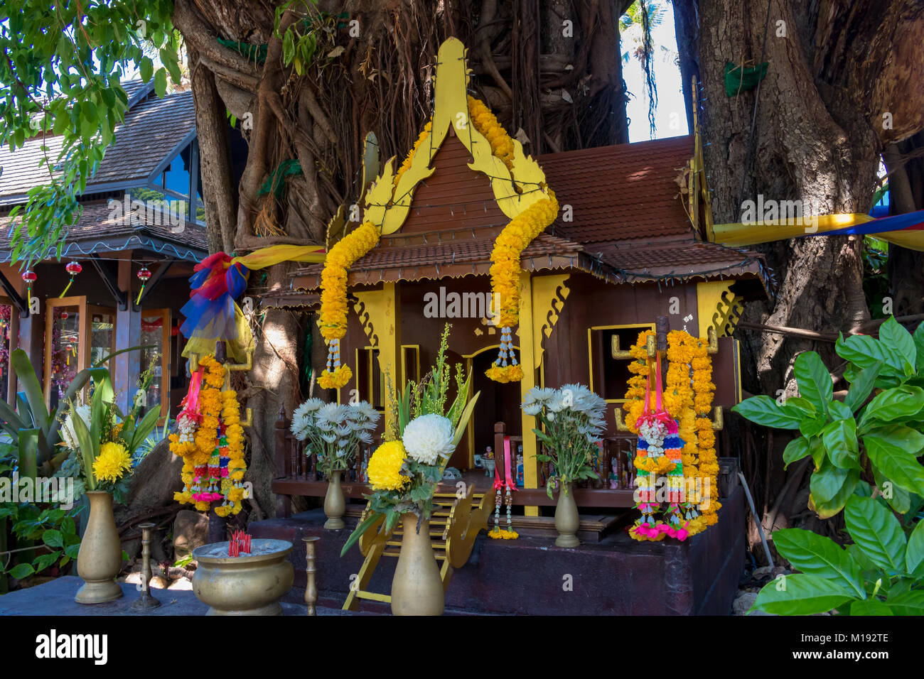 Phi Phi Island Krabi Thailand Januar 28, 2016 Traditionelle Geist Haus am Fuß eines großen, alten Baum in Tonsai Village, auf Koh Phi Phi Don Stockfoto