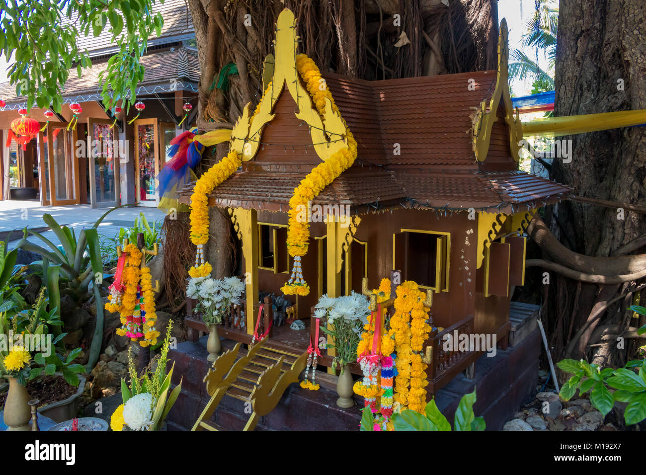 Phi Phi Island Krabi Thailand Januar 28, 2016 Traditionelle Geist Haus am Fuß eines großen, alten Baum in Tonsai Village, auf Koh Phi Phi Don Stockfoto