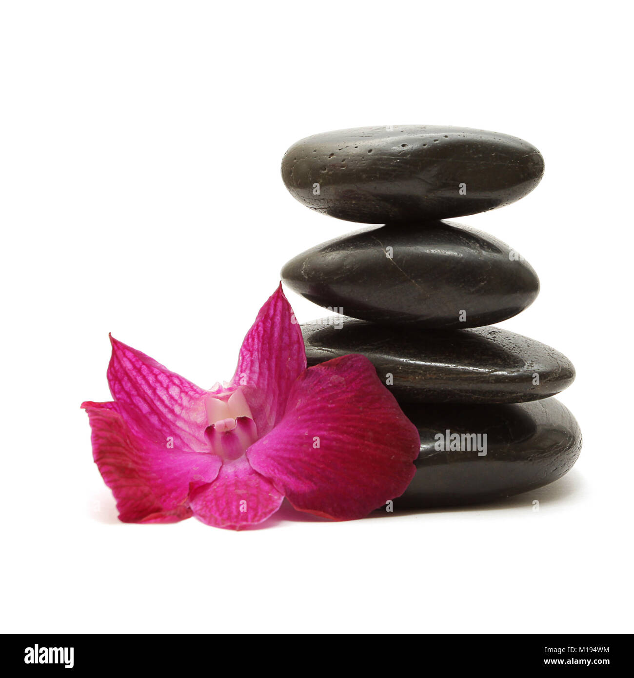 Schwarze Steine und bunten Orchidee auf weißem Hintergrund Stockfoto
