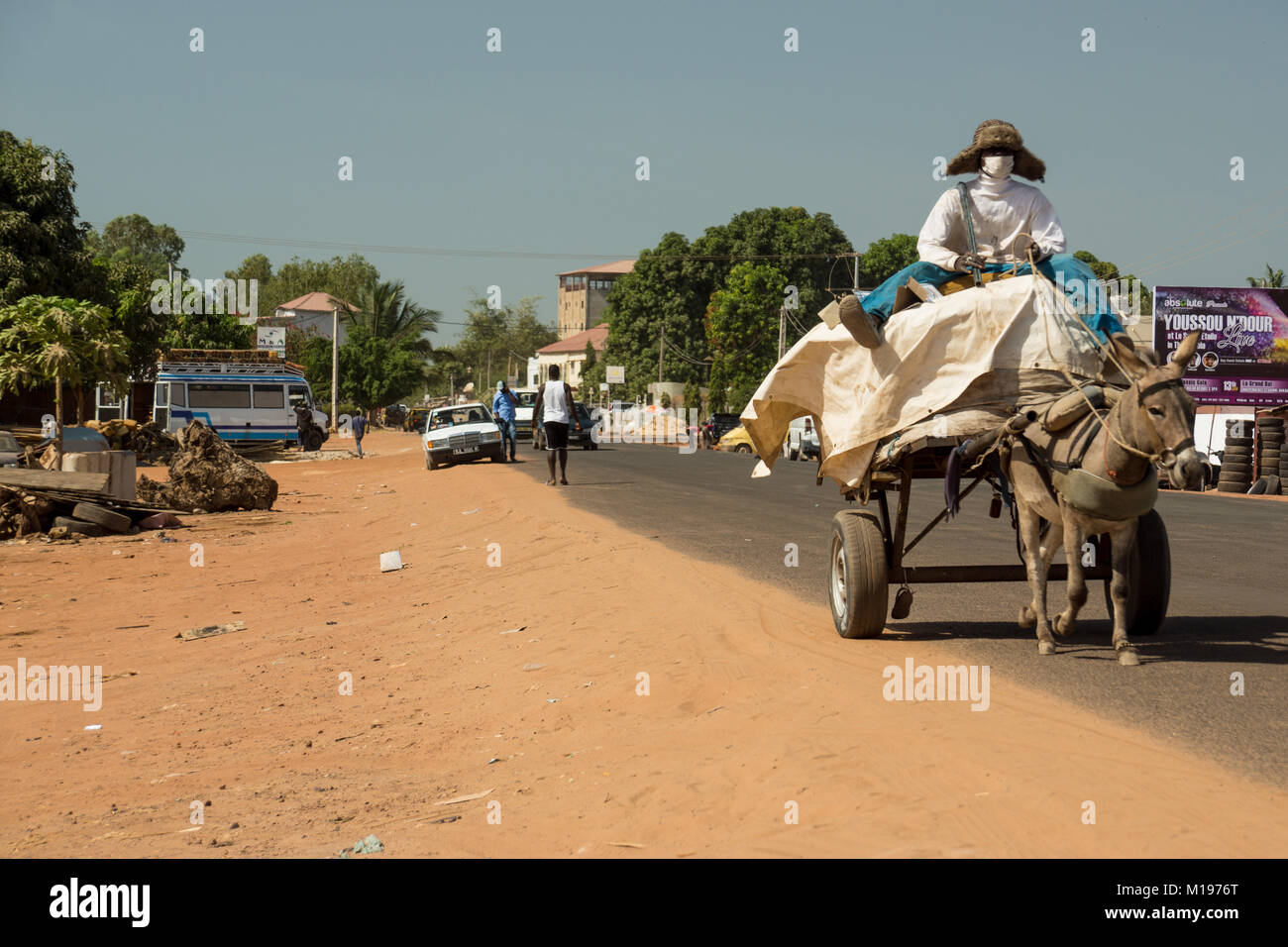 Ein afrikanischer Mann reitet ein Esel und Warenkorb auf einer Straße in Senegambia, Gambia, Südafrika Stockfoto